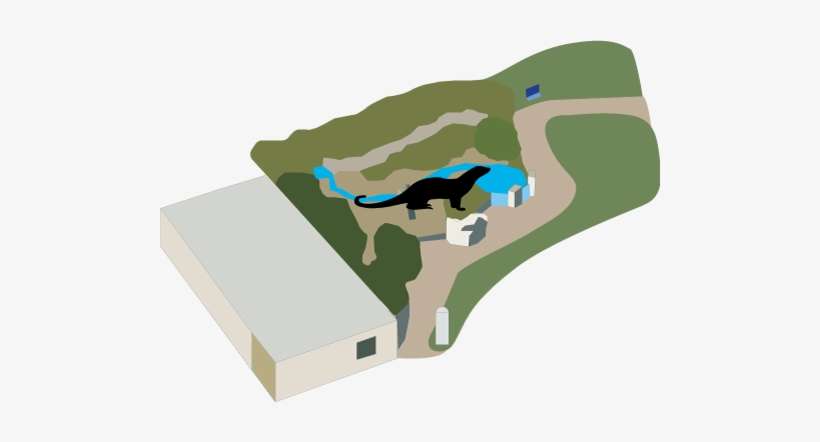 Zoo Exhibit - The Buffalo Zoo, transparent png download