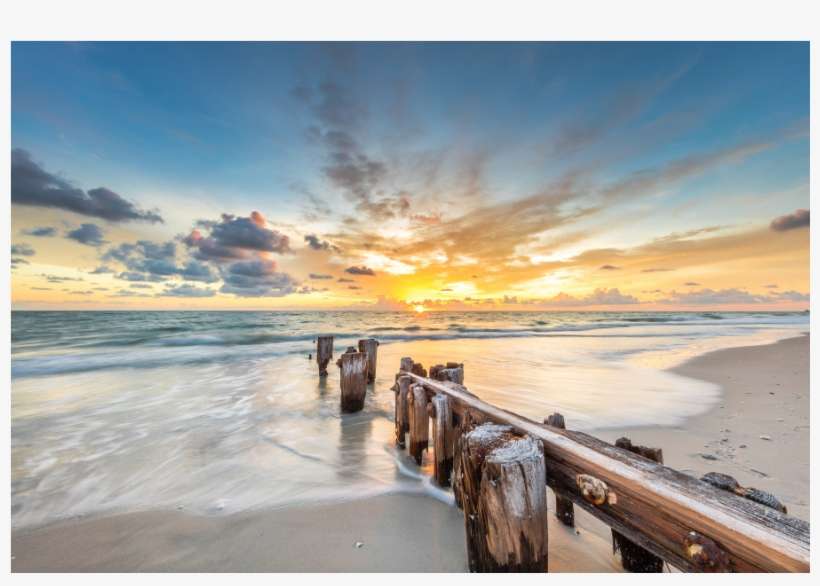 Beach, transparent png download