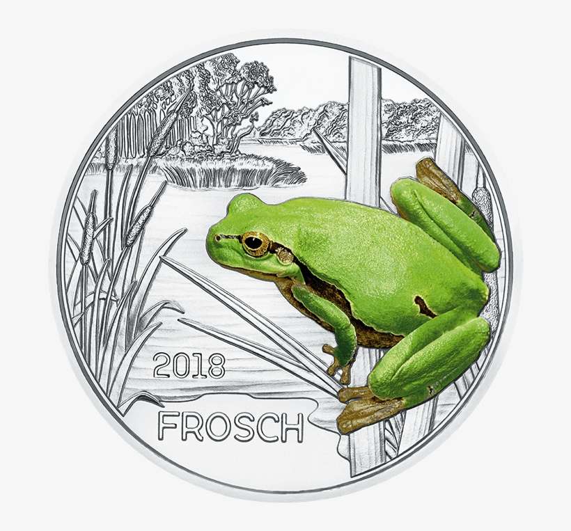 Colourful Creatures, The Frog - Austria 2018 Frog, transparent png download