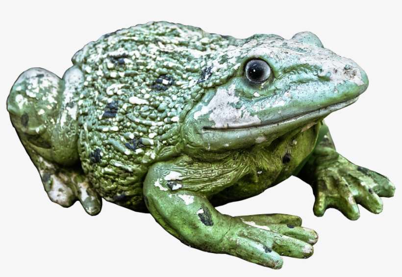 Frog, Green, Figure, Ceramic, Animal Figure, Decoration - Ceramic, transparent png download