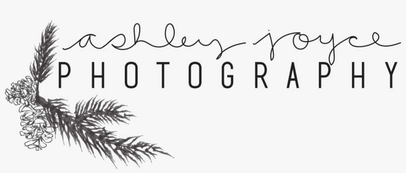 Ashley Joyce Photography - Pine, transparent png download