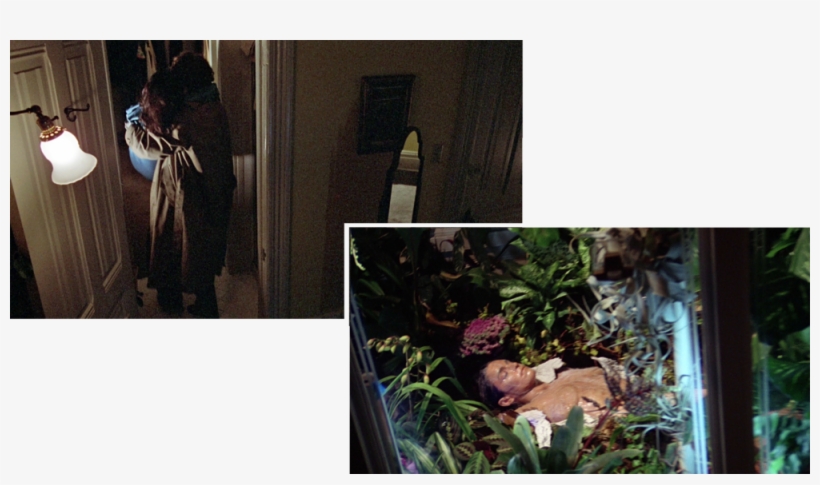 Mud Baths 6 - Mud Bath, transparent png download