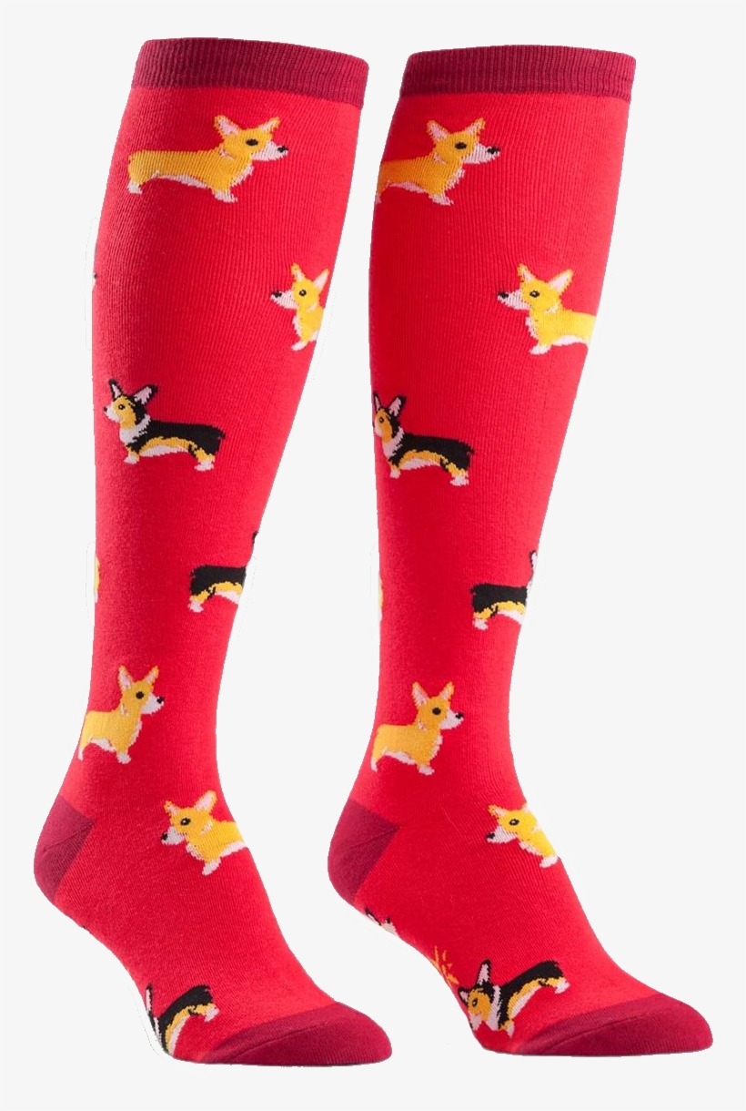 Red Corgi Socks, transparent png download