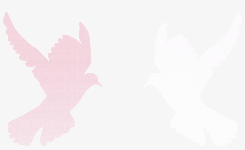 Angel Of Peace - Portable Network Graphics, transparent png download