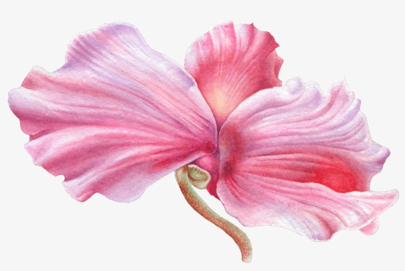 Hand Painted Wooden Hibiscus Flower Png Transparent - Hawaiian Hibiscus, transparent png download