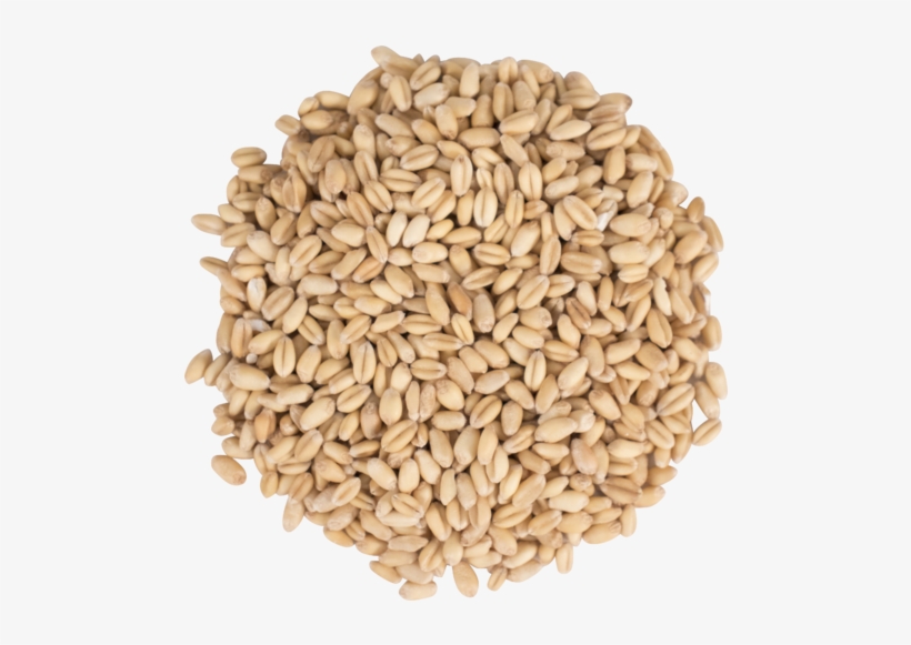 Briess Raw White Wheat - Raw Wheat, transparent png download