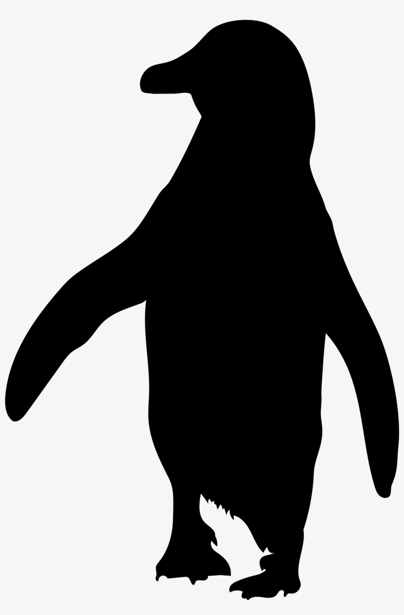 Cartoon African Penguin, transparent png download