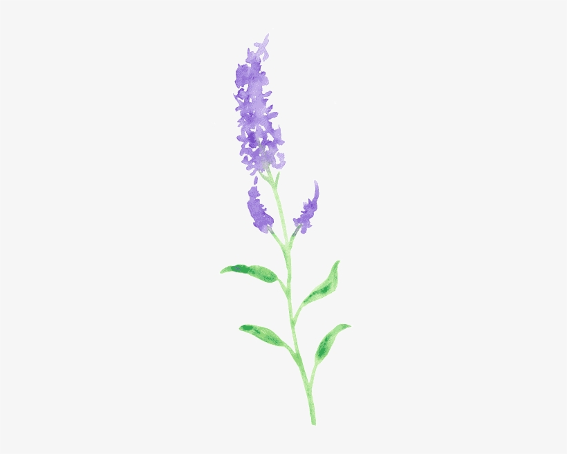 Hello & Welcome - Orchid, transparent png download