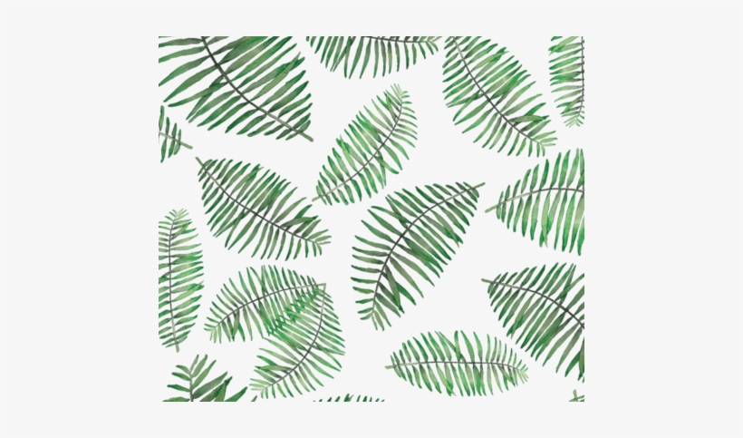 Rpalm Leaves Random Pattern Transparent Shop Preview - Tree, transparent png download