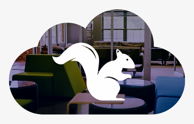 Meet Squirrels - Squirrel, transparent png download