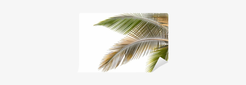Withered And Yellow Palm Leaves King Duvet, transparent png download