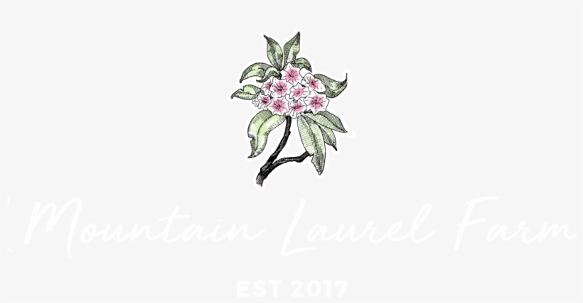 Mountain Laurel Farm - Bougainvillea, transparent png download