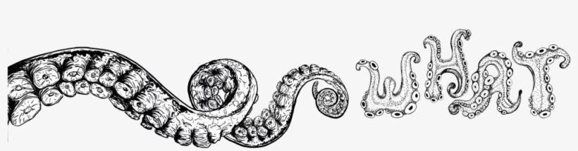 The Kraken Is A Wooden 24 Foot Interactive Installation - Illustration, transparent png download