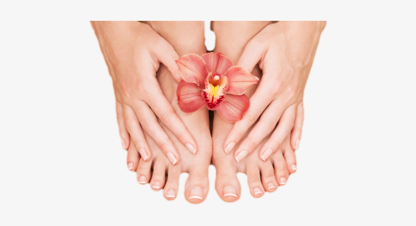 Voted - Hands And Feet Salon Png, transparent png download
