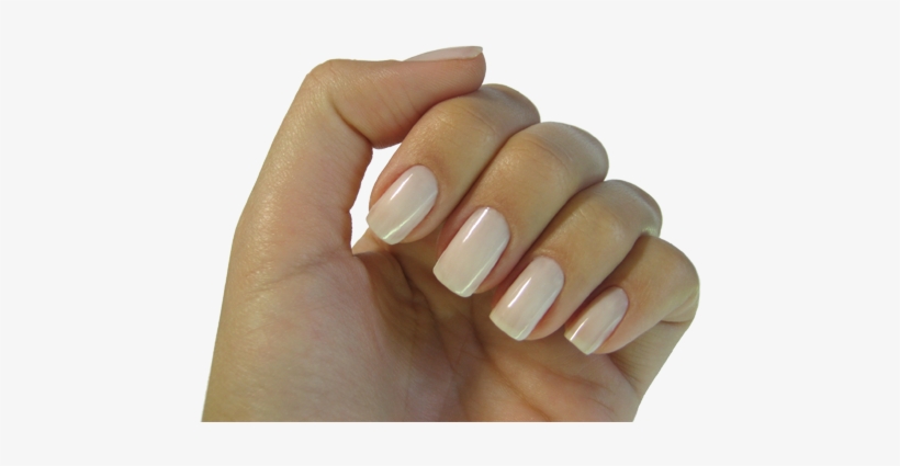 Herb & Hedgerow » For People Who Love & Make Botanical - Rounded Square Fake Nails, transparent png download