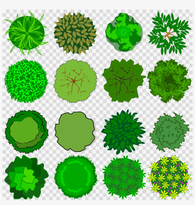 Download Top View Tree Vector Clipart Tree Clip Art - Juvia's Place Bella Thorne, transparent png download