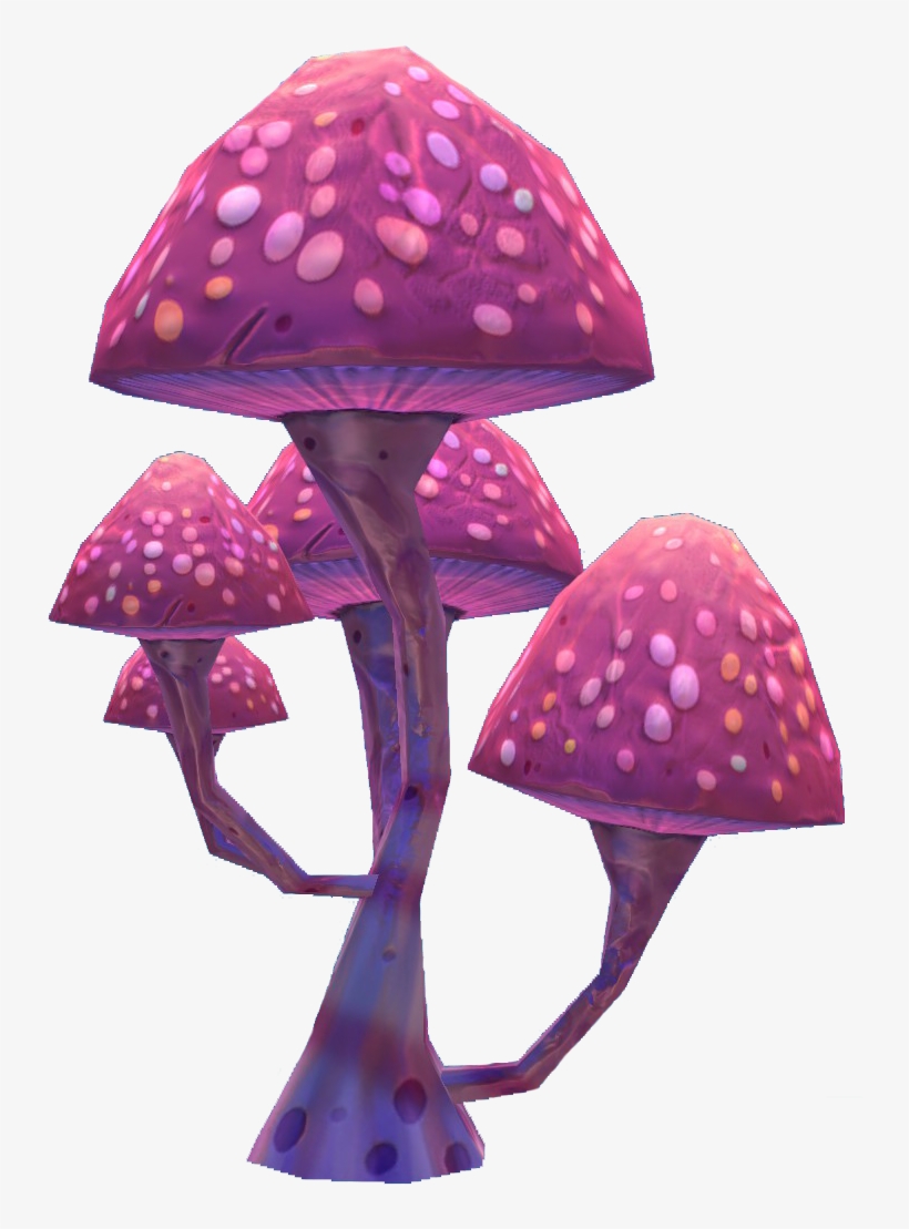 Pink Mushroom Flora - Pink Mushroom Png, transparent png download