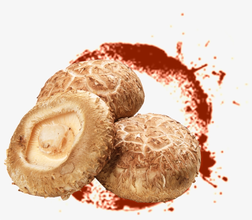 Delicious Mushroom Png - Shiitake, transparent png download