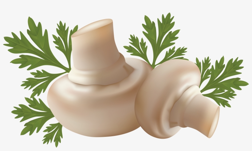 Transparent Background Button Mushroom Png, transparent png download