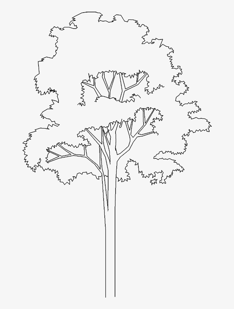 Arboles De Cad Png, transparent png download