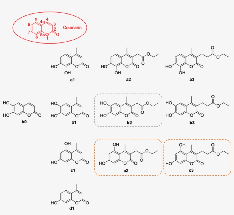In Rounded Rectangle Boxes Are Structures Of The Compounds - Diagram, transparent png download