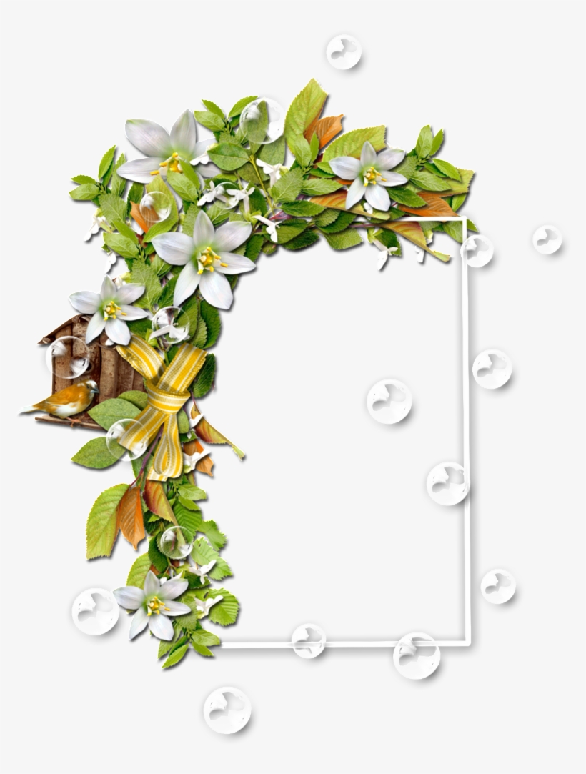 Colorful Color Floral Border Transparent - Portable Network Graphics, transparent png download