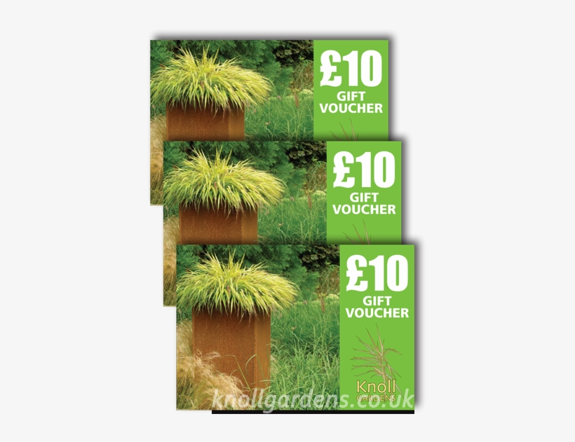 £10 Gift Voucher Knoll Gardens - Pond Pine, transparent png download