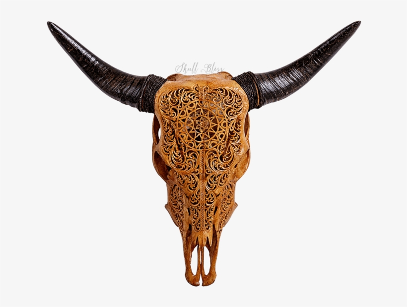 Carved Cow Skull // Xl Horns - Horn Skull Turquoise, transparent png download