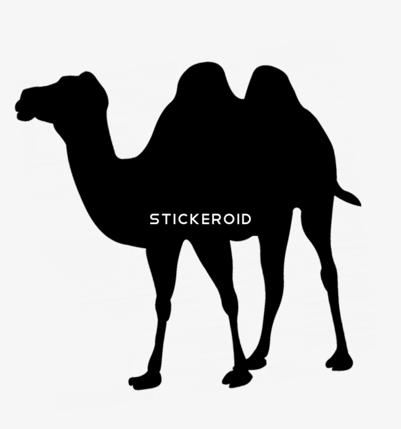 Silhouette Clip Art Of Camel - Sticker, transparent png download