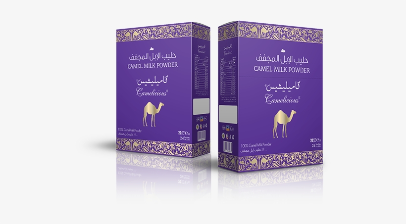 Learn More - African Grey, transparent png download