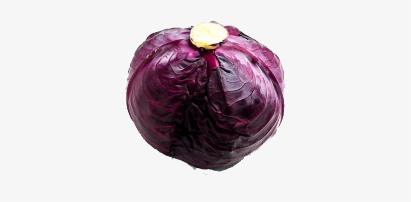 Purple Cabbage Png Transparent Image - Purple Cabbage, transparent png download