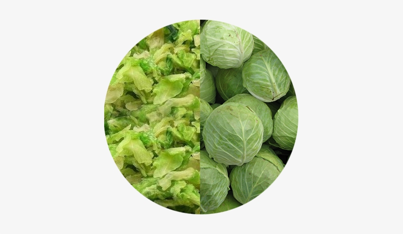 Dehydrated Cabbage - Cabbage, transparent png download