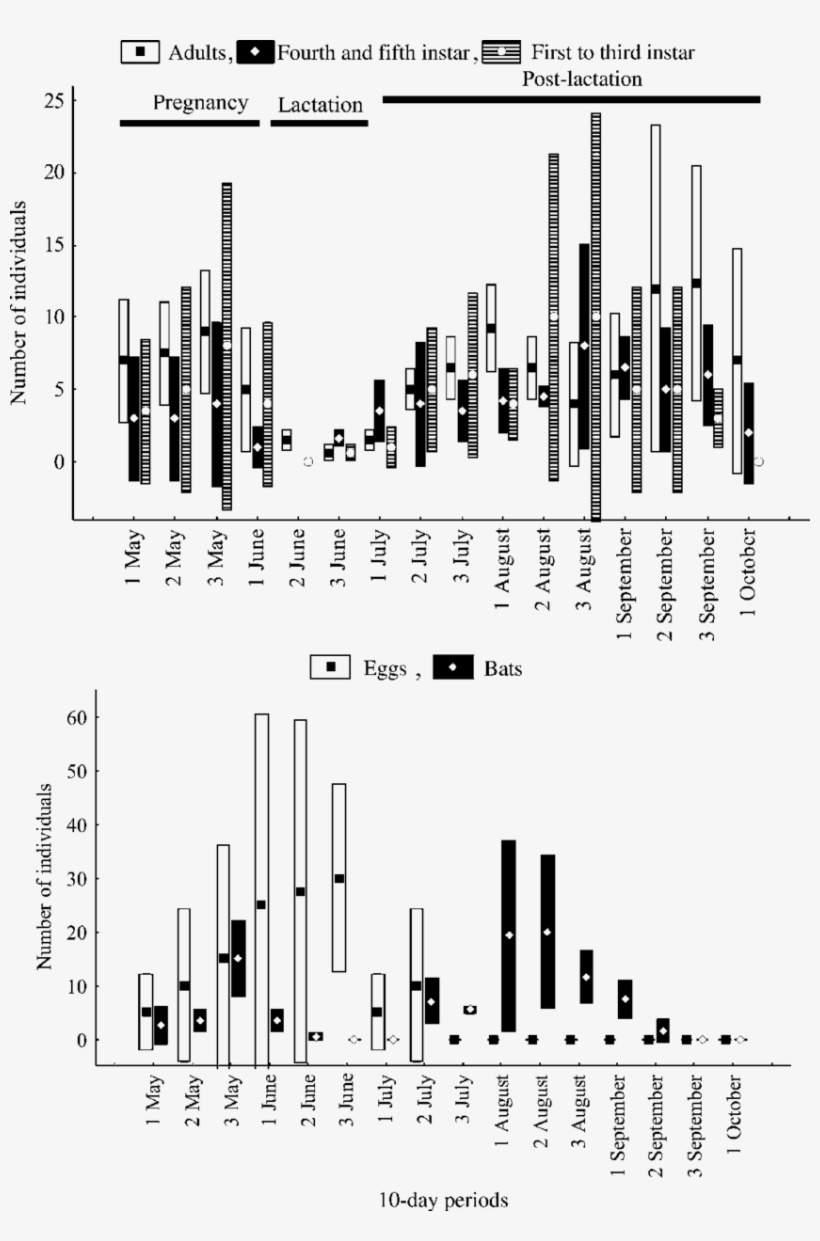 Changes In Numbers Of Bat Bug Adults, All Instars And - Beetle, transparent png download