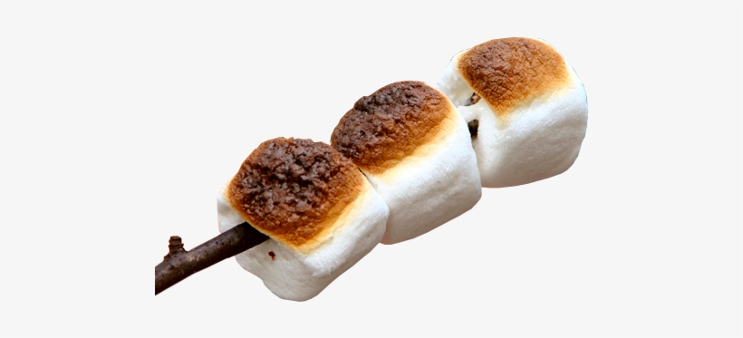 Toasted Marshmallows, transparent png download