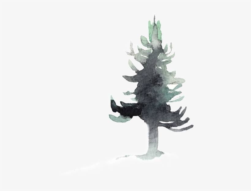 Creative Ink Painting Pine Transparent Watercolor - Water, transparent png download
