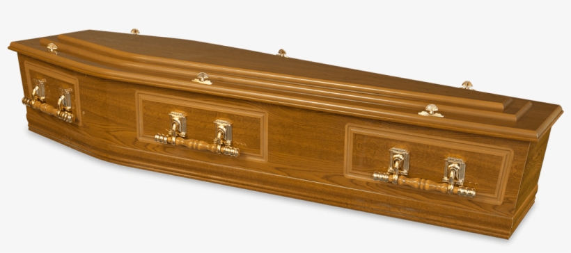 Augusta - Trunk, transparent png download