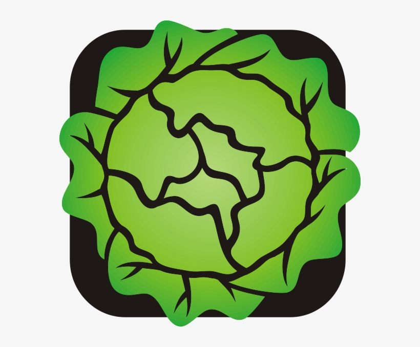 Lettuce Clip Art, transparent png download