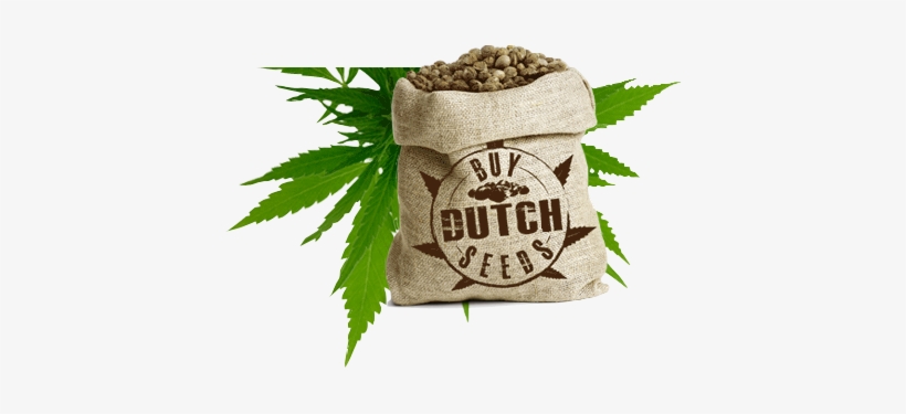 The Problem With Trying To Grow Cannabis Is That It's - Weed Png Seed, transparent png download