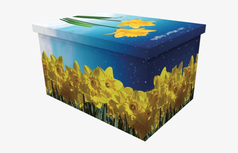Daffodils Ashes Casket - Coffin, transparent png download