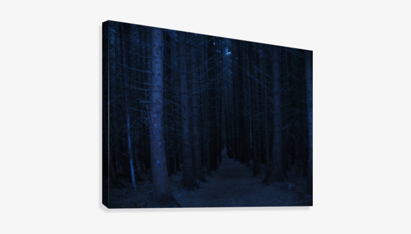 Spooky Wood Canvas Print - Grove, transparent png download