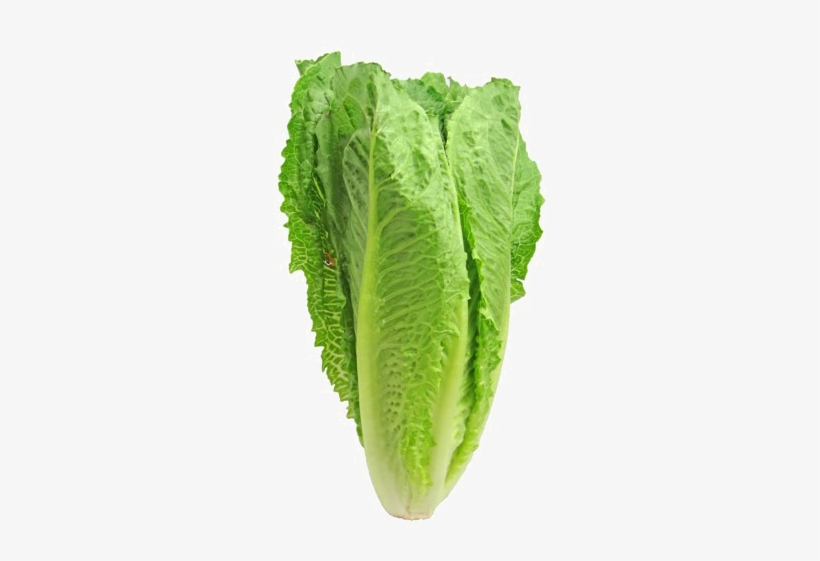 Romaine Lettuce Png Pic - Romaine Lettuce, transparent png download