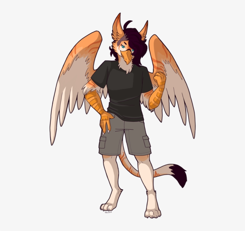 Drawn Griffon Furry - Griffon Furry, transparent png download