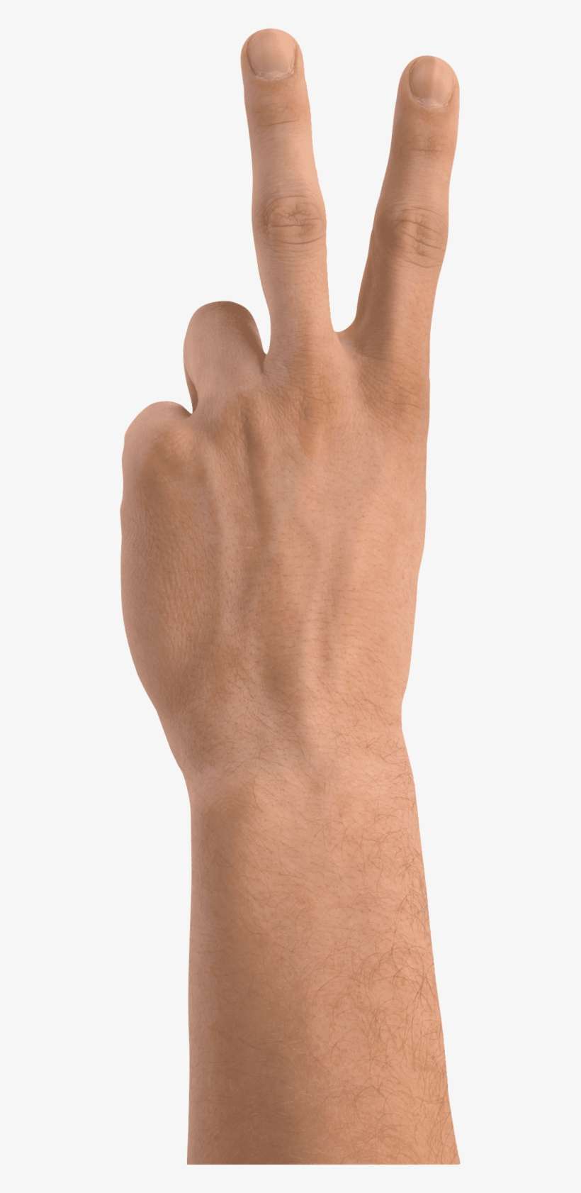 Free Png Two Finger Hand Png Images Transparent - Hand Two Fingers Png, transparent png download