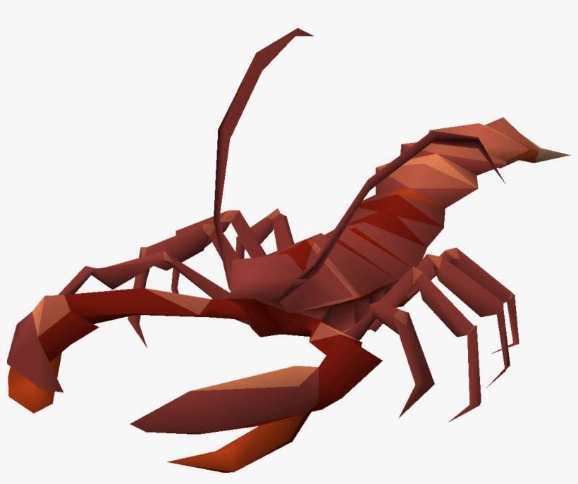 Scorpion, transparent png download