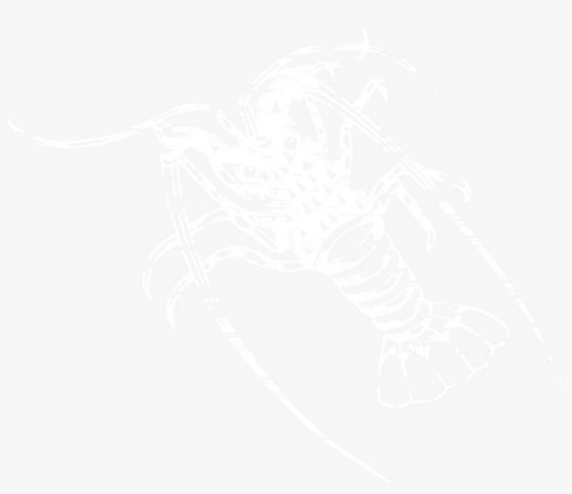 Corporate Icon Jpg File Kaiar Tropical Rock Lobster - Illustration, transparent png download