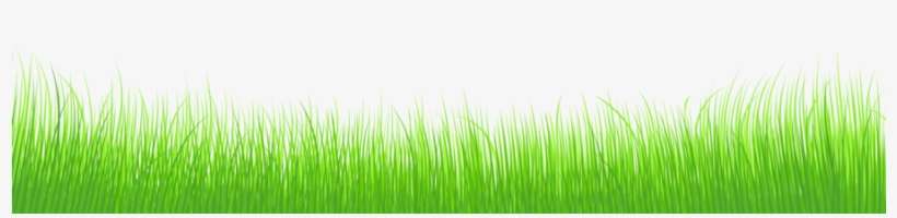 Download Grass Clipart Grasses Grassland Desktop Wallpaper - Transparent Background Grass Clipart, transparent png download