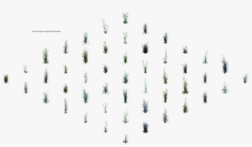 Hjm Grasses 2 Alpha - Christmas Tree, transparent png download