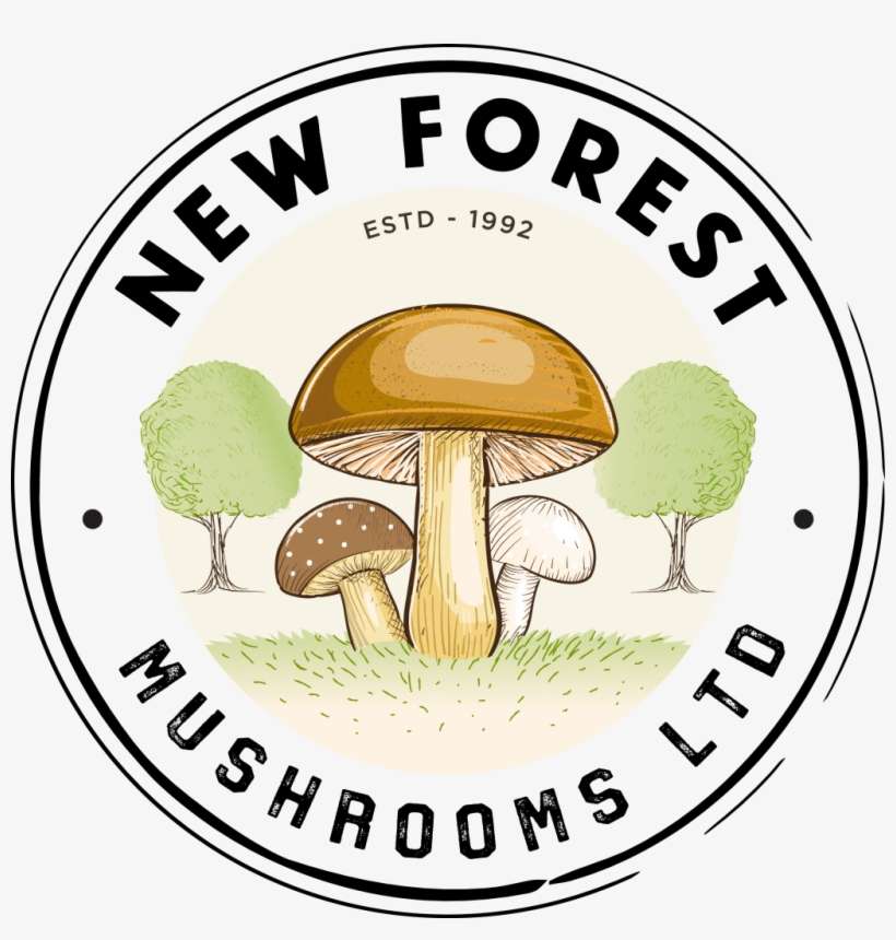 New Forest District, transparent png download