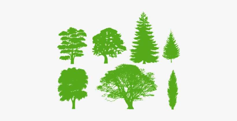 Trees, Silhouette, Variety - Forest Tree Silhouette, transparent png download