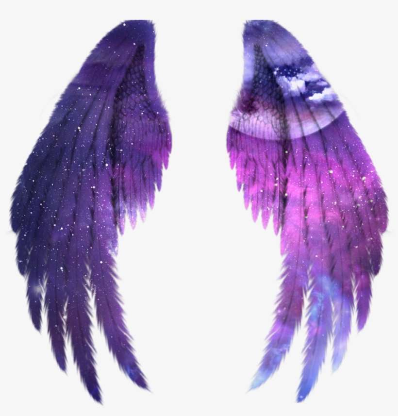 Wings Angel Angelwings Space Galaxy Stars Star Wing - Black Angel Wings Transparent, transparent png download